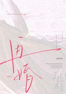 《再婚abo》封面
