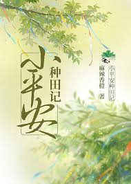 《小平安种田记》封面