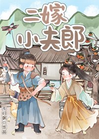 《二嫁小夫郎》封面