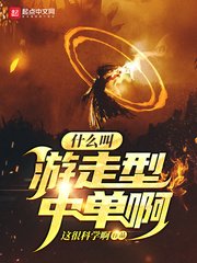 《什么叫游走型中单啊》封面