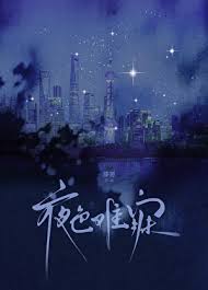 《夜色难寐》封面