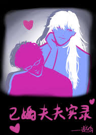 《已婚夫夫实录》封面