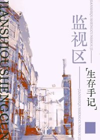 《监视区生存手记[战时]》封面