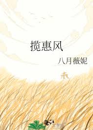 《揽惠风》封面