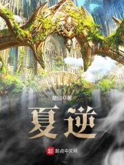 《夏逆》封面