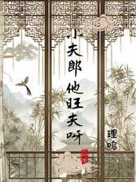 《小夫郎他旺夫呀/首辅家的温软小夫郎》封面