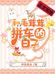 《和毛茸茸拼车的日子》封面