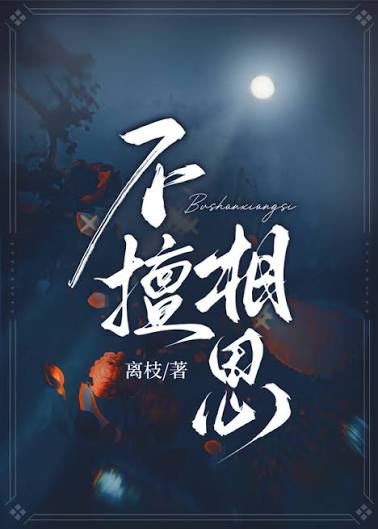 《不擅相思》封面