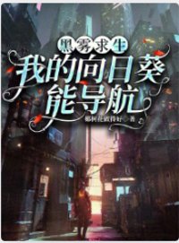《黑雾求生：我的向日葵能导航》封面