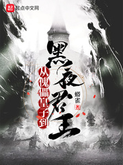 《从傀儡皇子到黑夜君王》封面