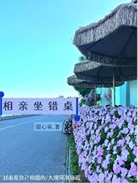 《相亲坐错桌》封面