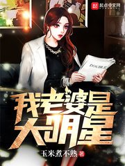 《我老婆是大明星》封面
