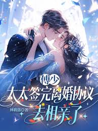 《傅少，太太签完离婚协议去相亲了》封面