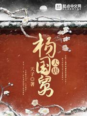 《大唐杨国舅》封面