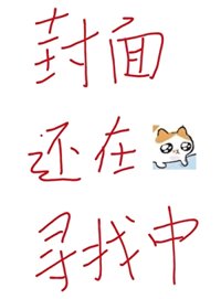 《回到老婆少年时》封面