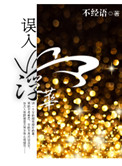 《误入浮华》封面