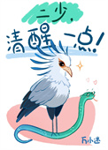 《二少，清醒一点！》封面