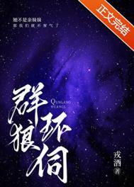 《群狼环伺》封面