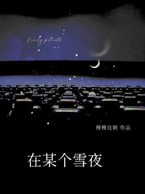 《在某个雪夜》封面