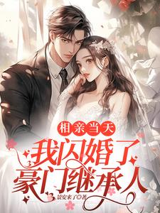 《相亲当天我闪婚了豪门继承人》封面