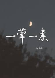《一荤一素》封面