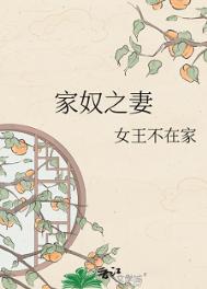 《家奴之妻》封面