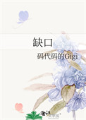 《缺口》封面